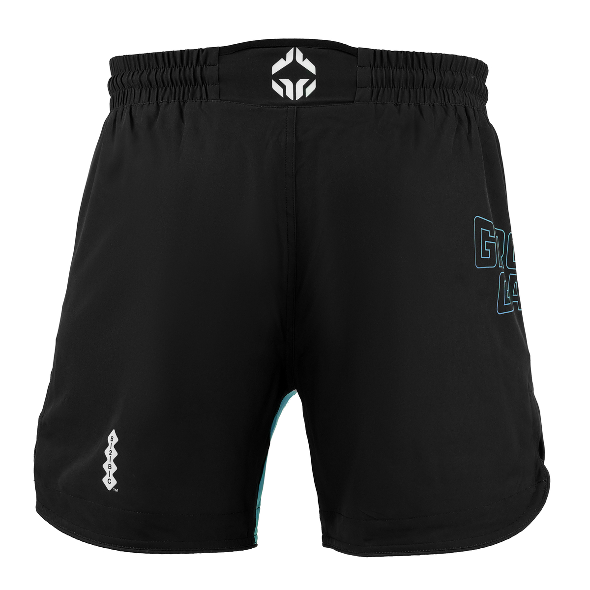 Leichte MMA-Shorts Born 2 Bore