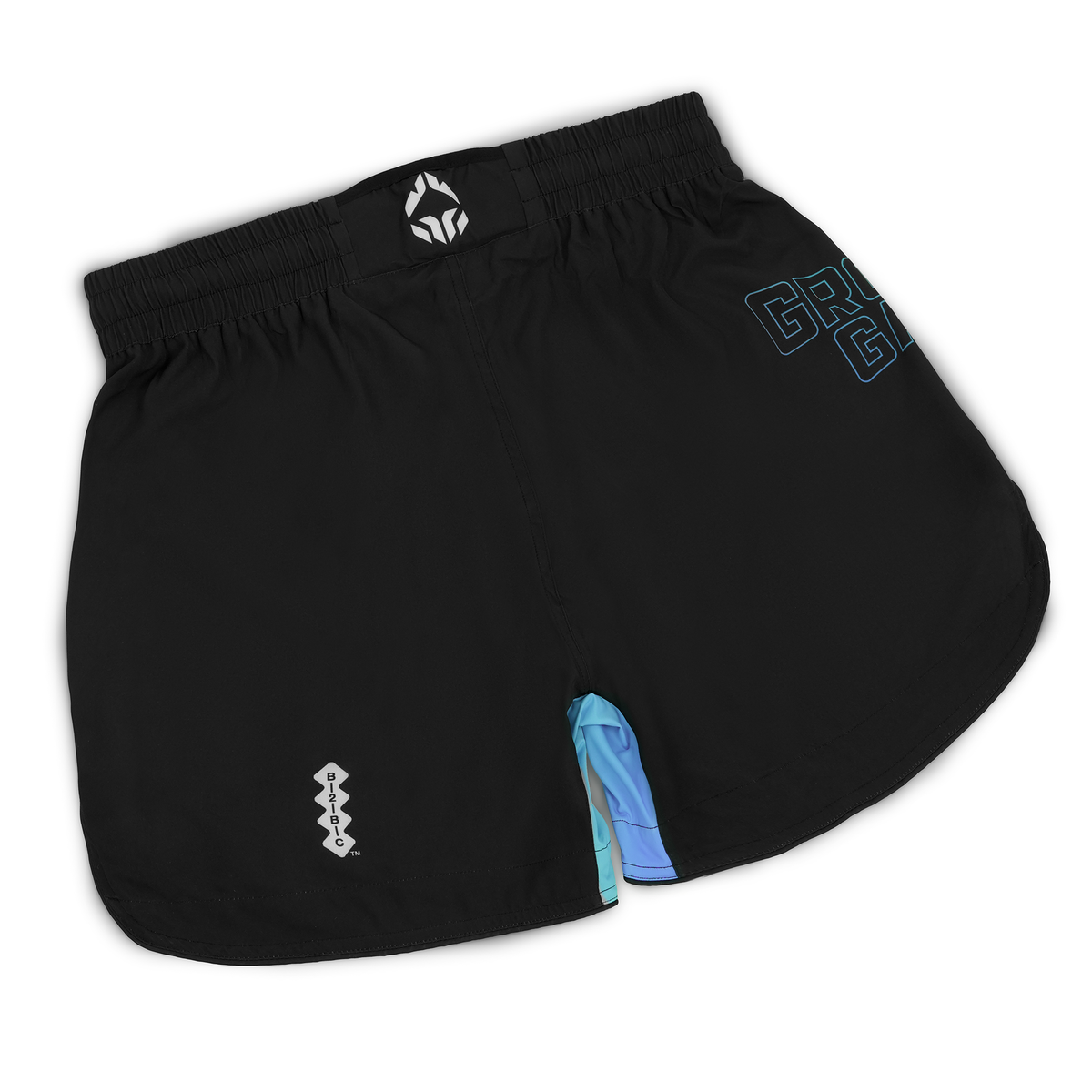 Leichte MMA-Shorts Born 2 Bore