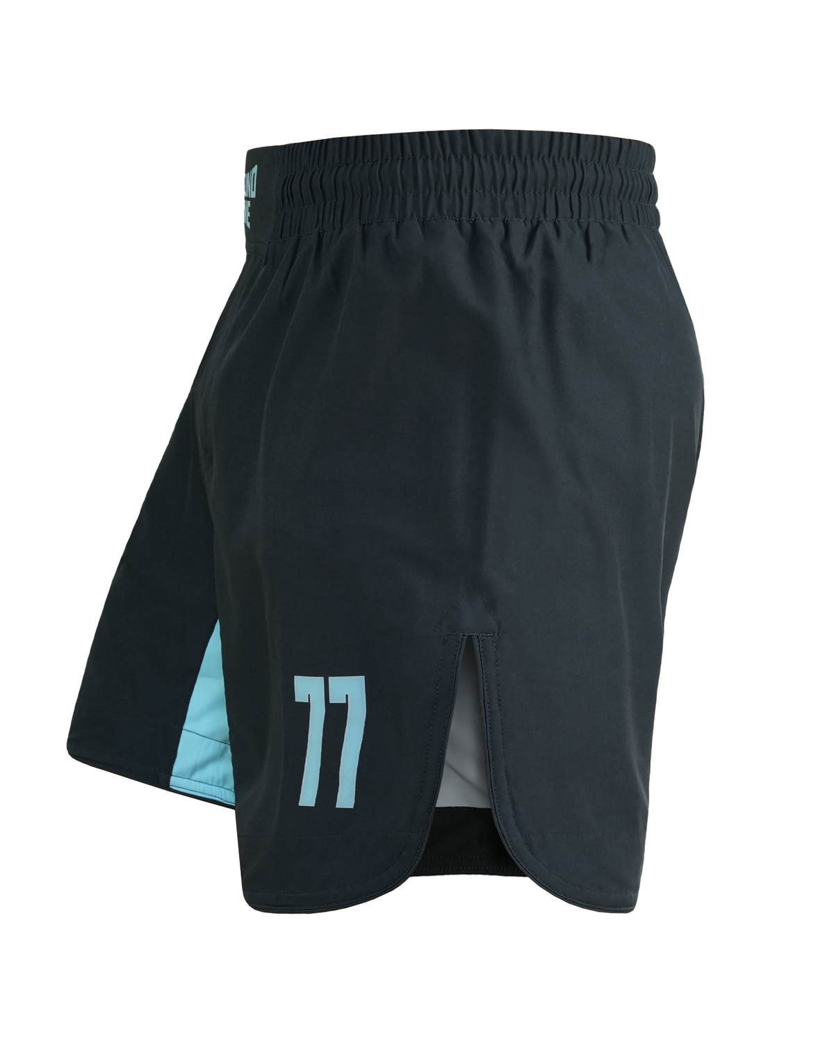 Leichte MMA-Shorts FC Armbar (Mint)