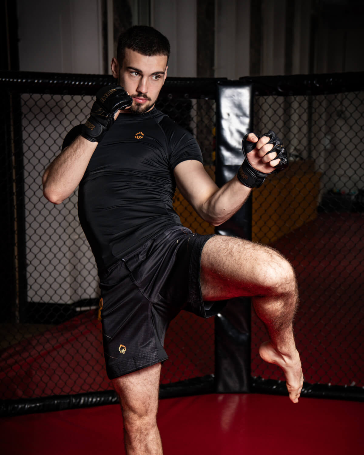 MMA-Handschuhe Equinox