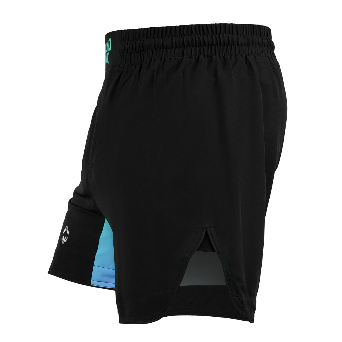 Leichte MMA-Shorts Born 2 Bore
