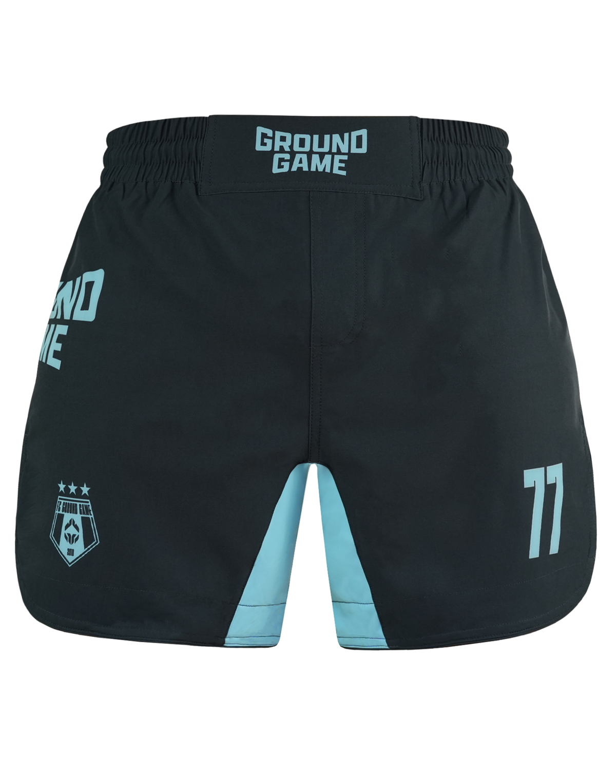 Leichte MMA-Shorts FC Armbar (Mint)
