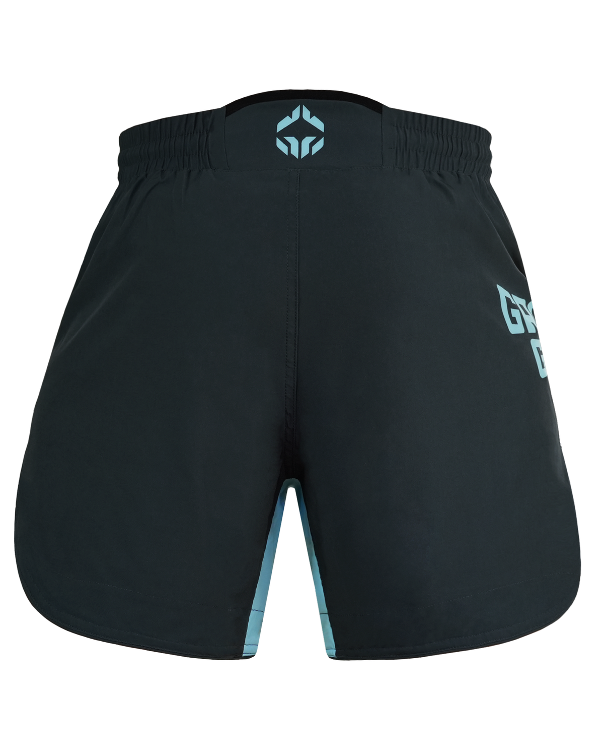 Leichte MMA-Shorts FC Armbar (Mint)