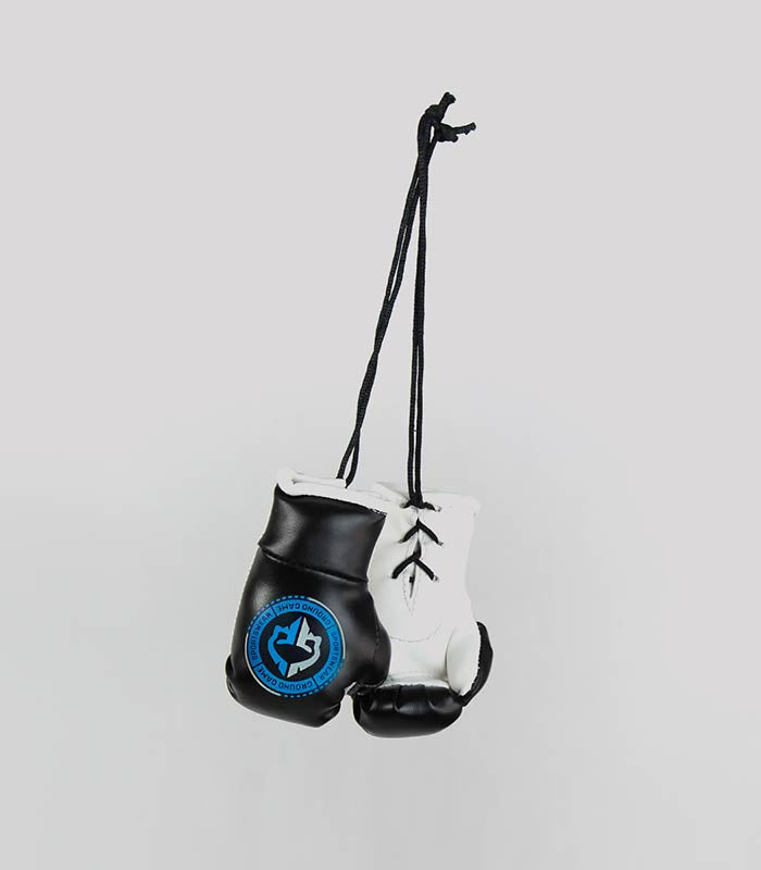 Mini-Boxhandschuhe fürs Auto