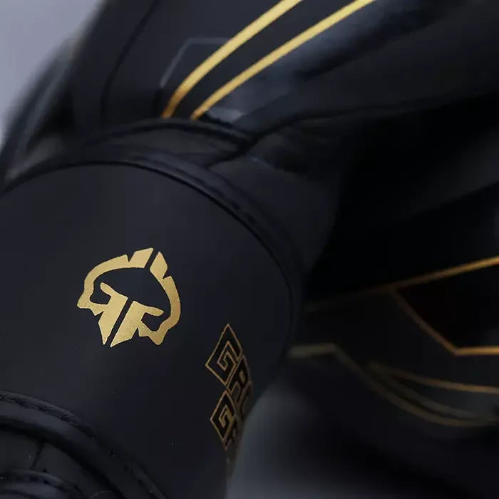 Boxhandschuhe Equinox