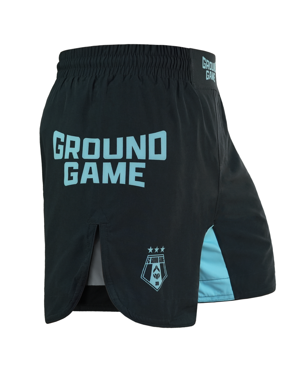 Light MMA-Shorts Kampfshorts FC Armbar