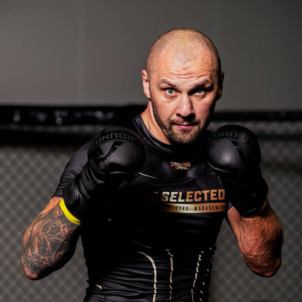 MMA Handschuhe Sparring Stripe Black